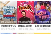 国产精品免费视频网站